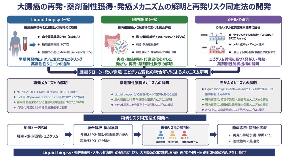 大腸癌の再発・薬剤耐性獲得・発癌メカニズムの解明と再発リスク同定法の開発の研究概要図