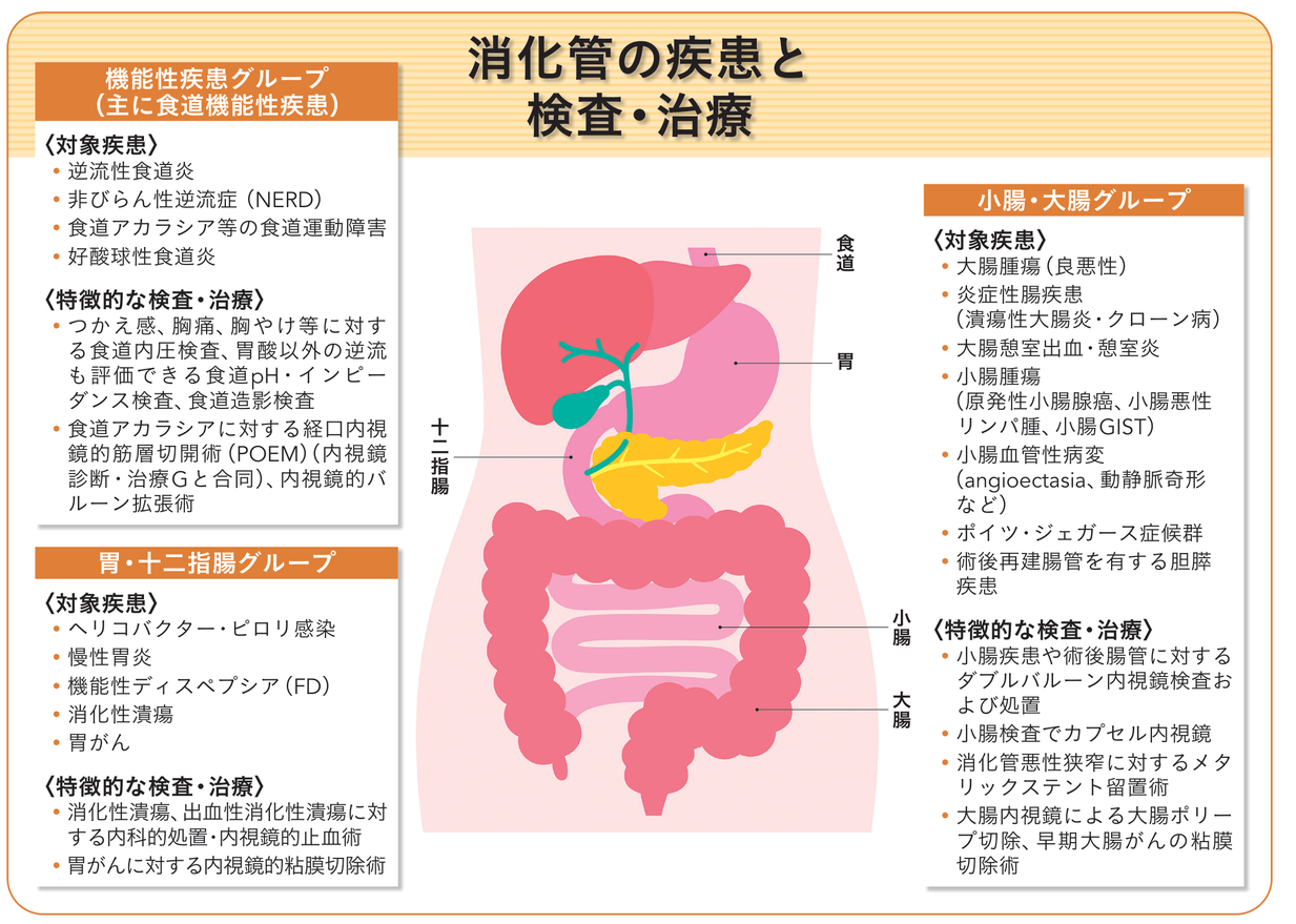 消化管の疾患と検査・治療：各診療グループの対象疾患と特徴的な検査・治療